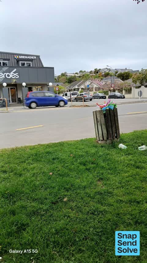 Rubbish and Bins - General, a report photo