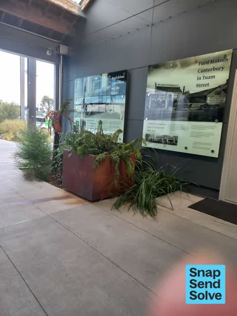 Trees - General, a report photo