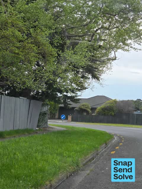Overgrown Vegetation — a report photo