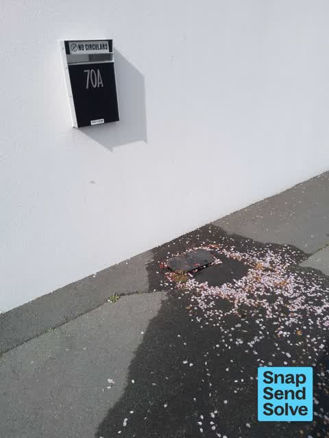 Water Leak, a report photo