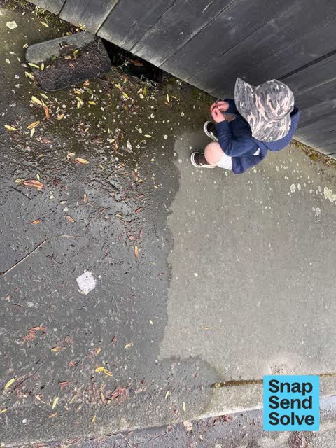 Water Leak, a report photo