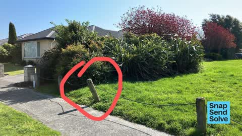 Park - General Request, a report photo