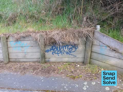 Graffiti on a fence, building or structure, a report photo