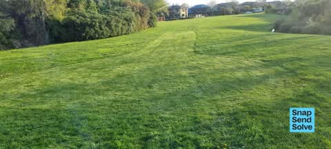 Overgrown Vegetation, a report photo