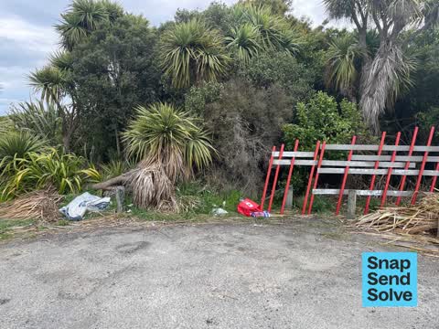 Litter, a report photo