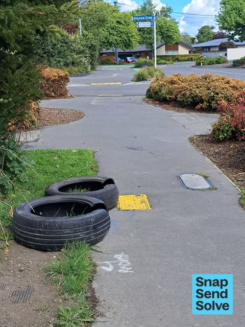 Dumped Rubbish, a report photo