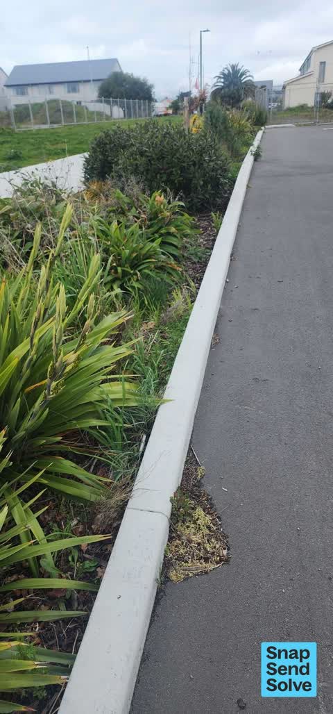 Overgrown Vegetation, a report photo