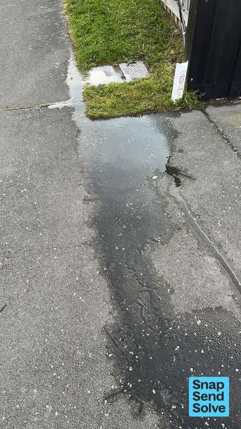 Water Leak, a report photo