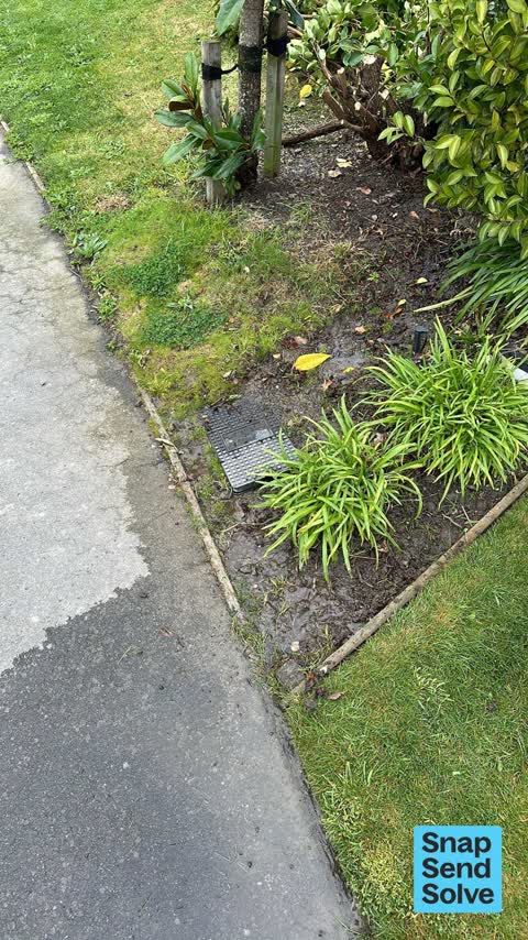 Water Leak, a report photo