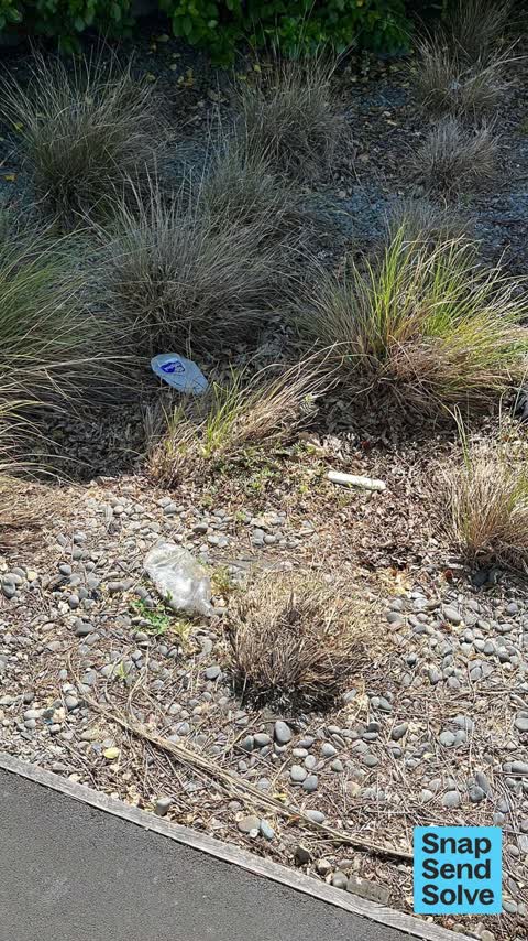 Dumped Rubbish, a report photo