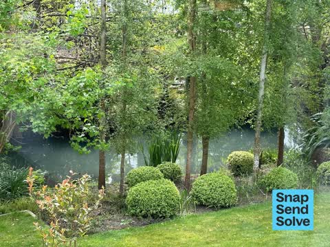 Water Pollution - Sediment, a report photo