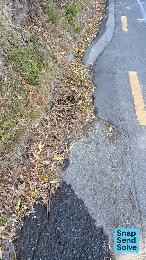 Street Gutters / Storm Water — a report photo