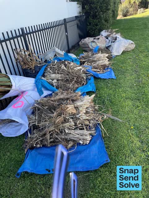 Overgrown Vegetation, a report photo