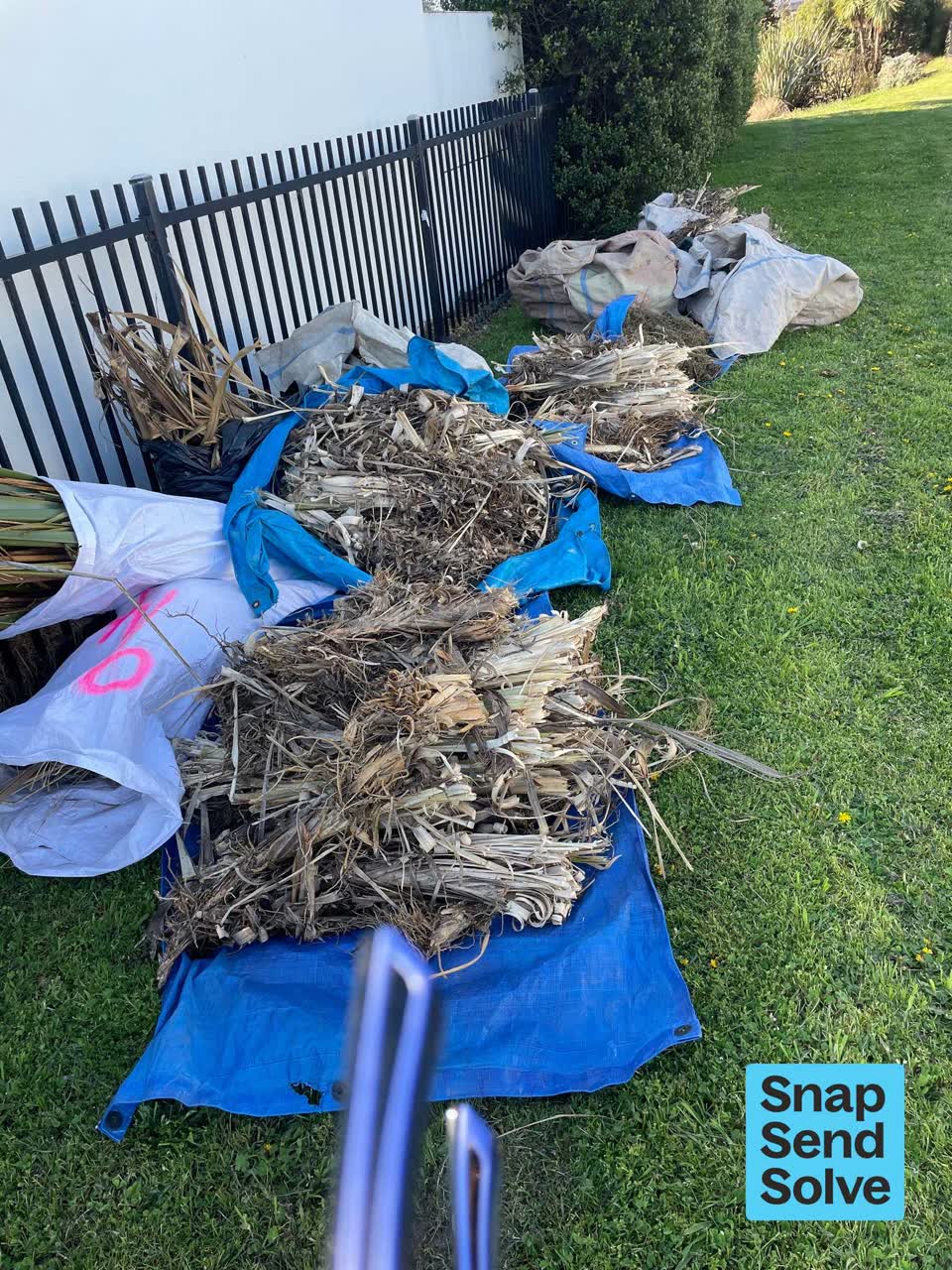 The photograph attached to this overgrown vegetation report