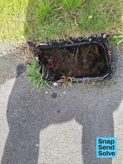 Water Leak, a report photo