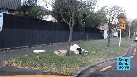 Dumped Rubbish, a report photo
