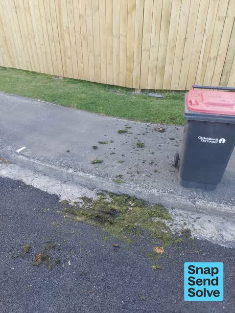 Rubbish and Bins - General, a report photo