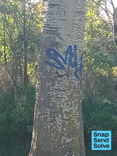 Graffiti somewhere else — a report photo