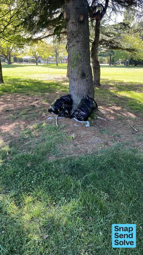 Dumped Rubbish, a report photo