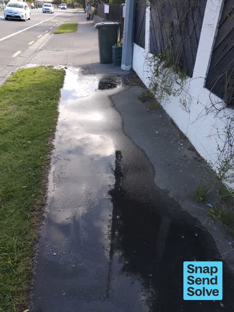 Water Leak, a report photo
