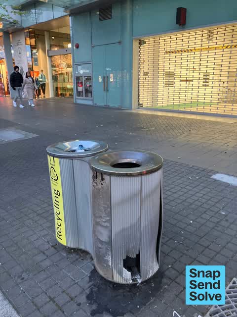 Rubbish and Bins - General, a report photo