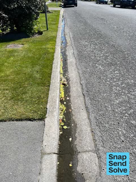 Street Gutters / Storm Water, a report photo