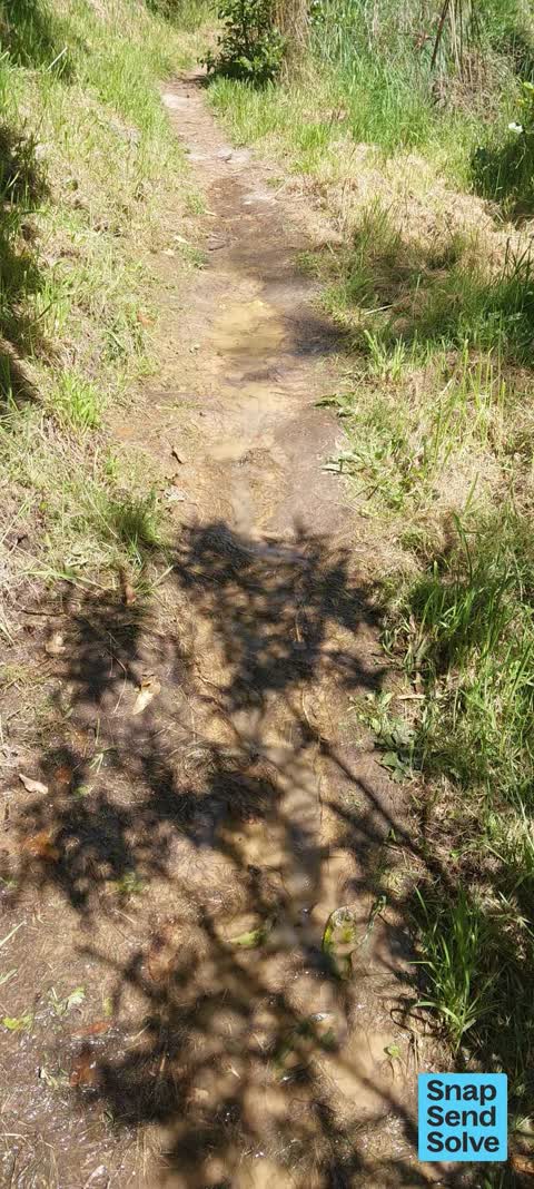 Water Leak, a report photo