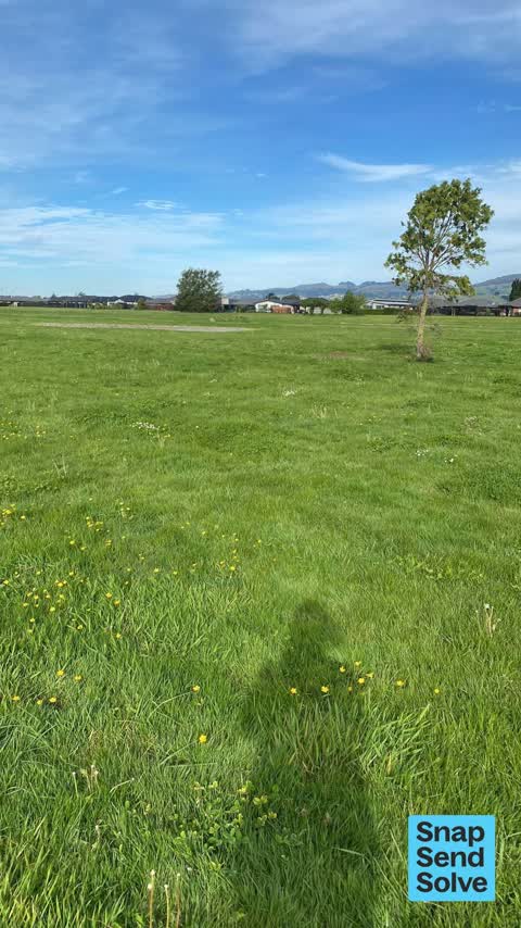 Overgrown Vegetation, a report photo