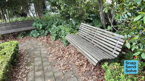 Overgrown Vegetation — a report photo