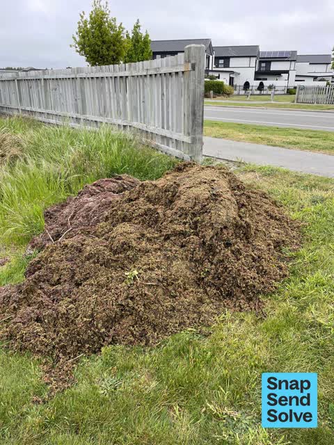 Overgrown Vegetation, a report photo