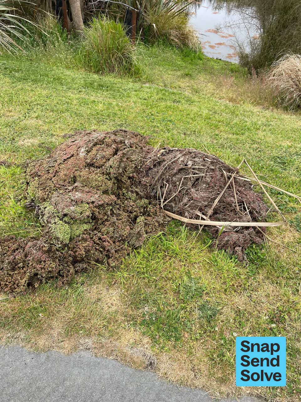 The photograph attached to this overgrown vegetation report