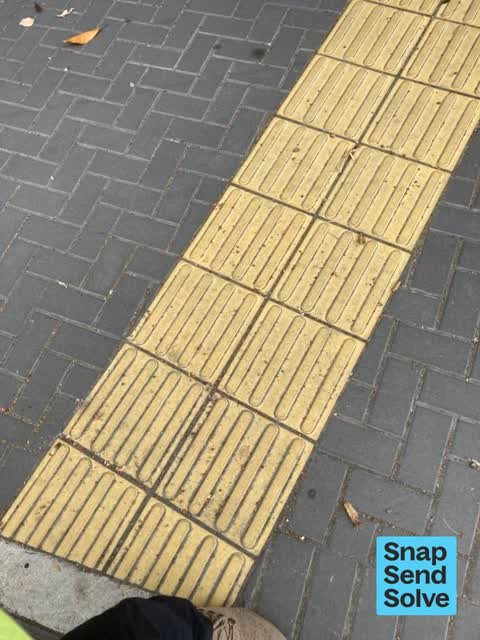 Litter — a report photo