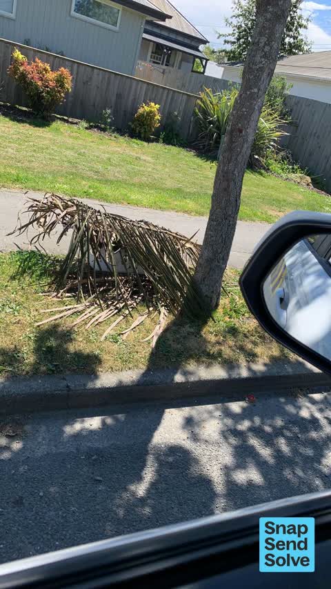 Dumped Rubbish — a report photo