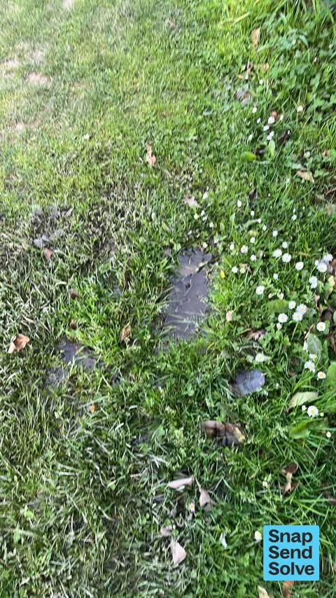 Water Leak, a report photo