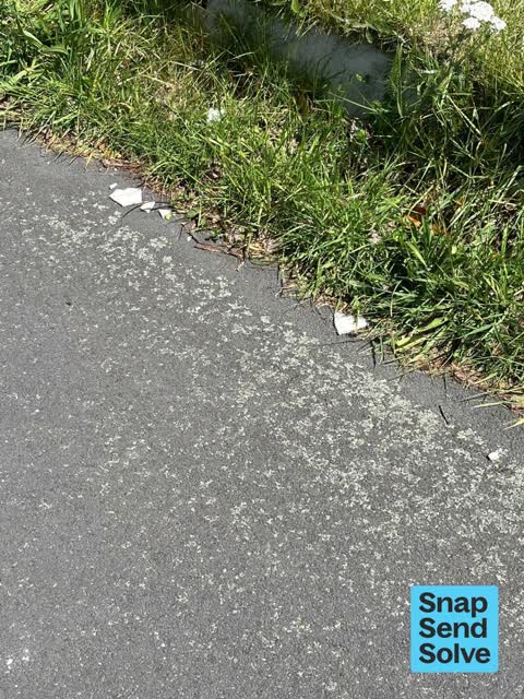 Litter, a report photo