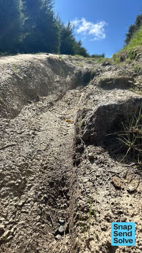 Park - General Request, a report photo