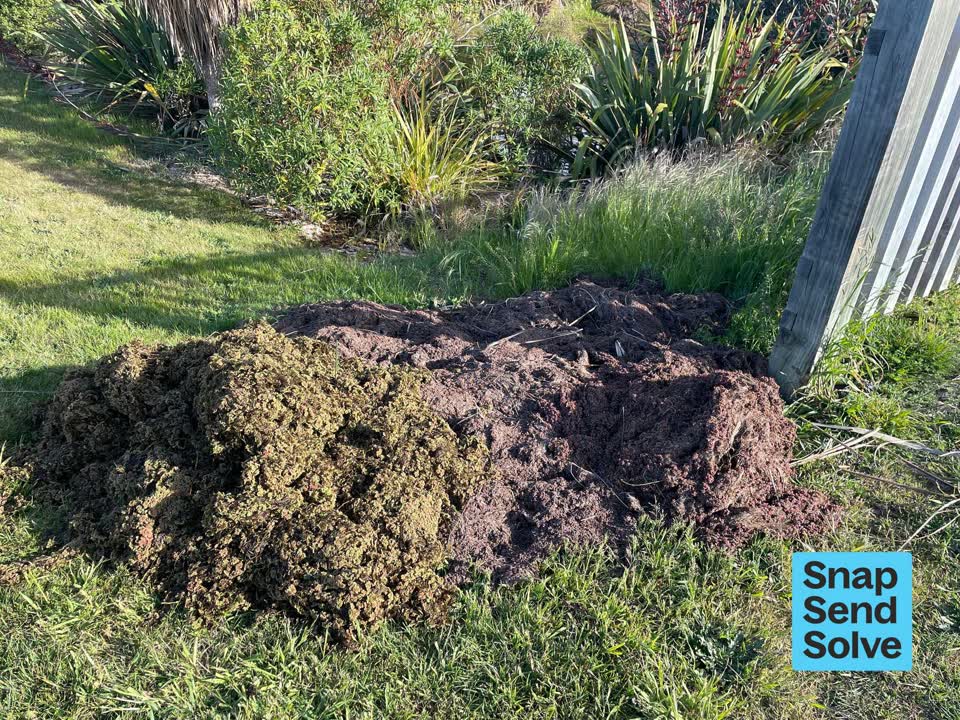 The photograph attached to this overgrown vegetation report