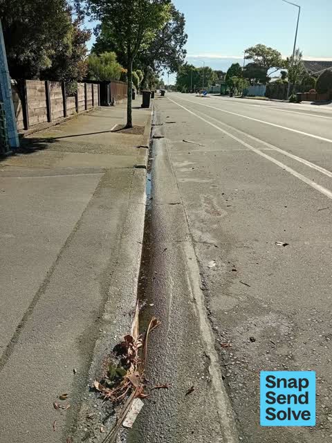 Street Cleaning, a report photo