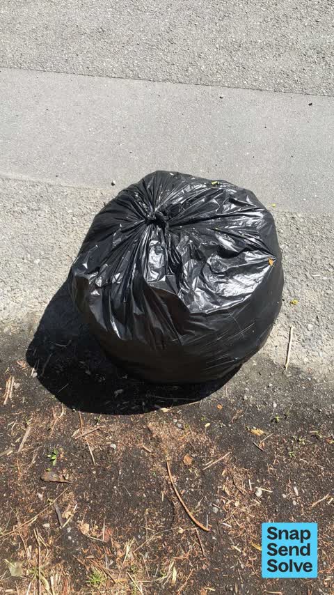 Dumped Rubbish — a report photo