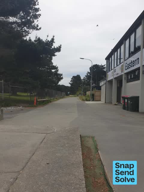 General Request — a report photo