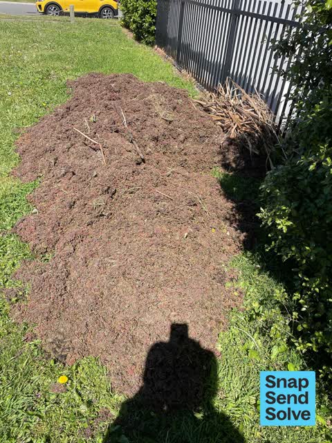 Overgrown Vegetation, a report photo