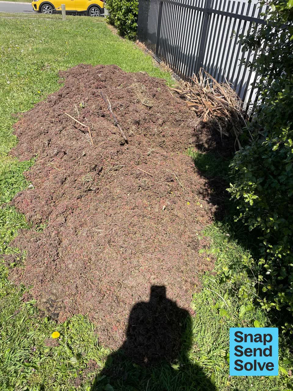 The photograph attached to this overgrown vegetation report