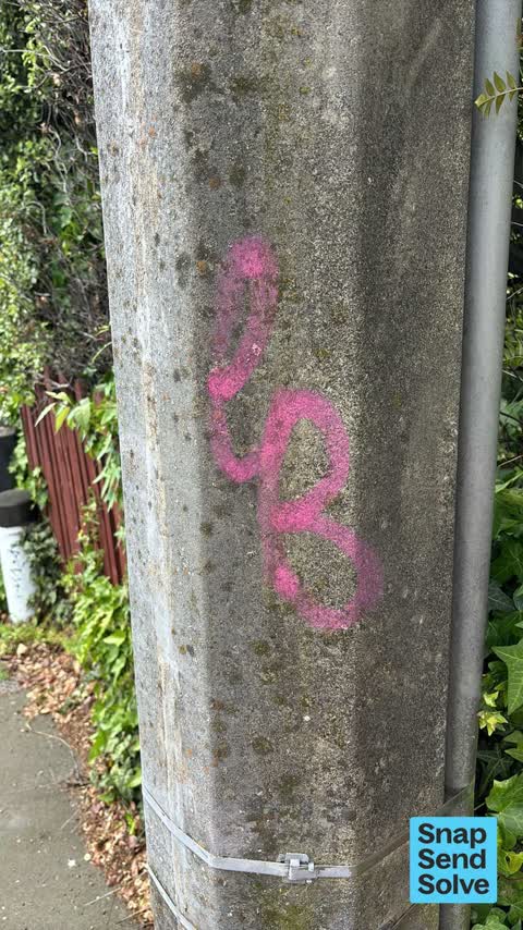 Graffiti on a cabinet, pole or railway asset — a report photo
