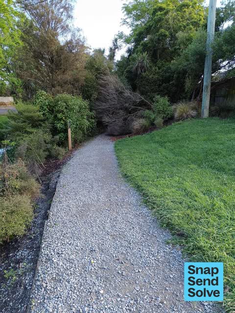 Park - General Request — a report photo