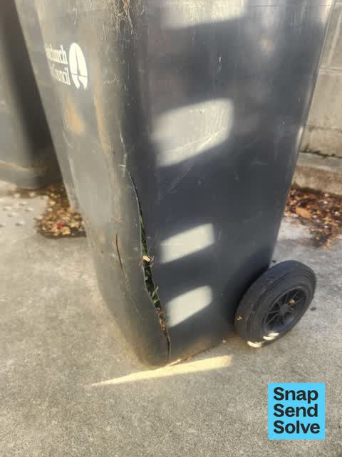 Rubbish and Bins - General, a report photo