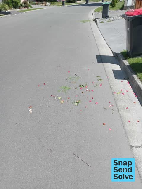 Rubbish and Bins - General, a report photo