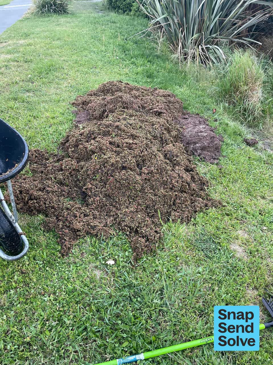 The photograph attached to this overgrown vegetation report
