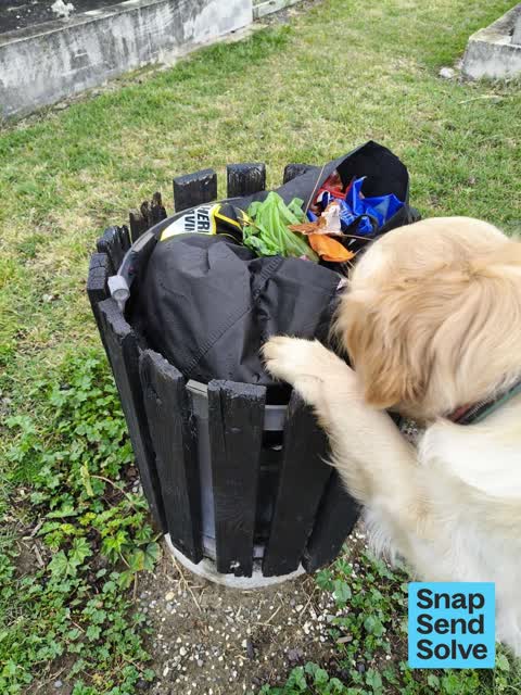 Rubbish and Bins - General — a report photo