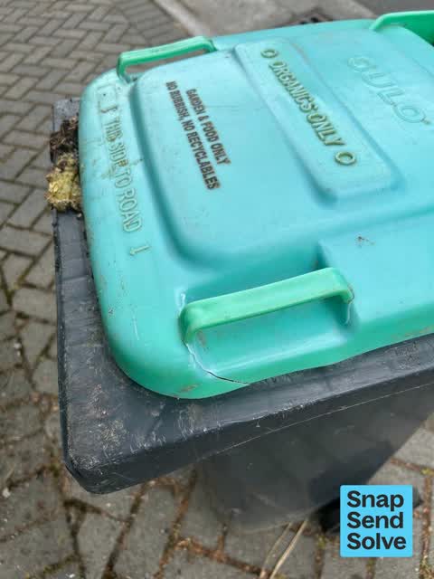 Rubbish and Bins - General, a report photo