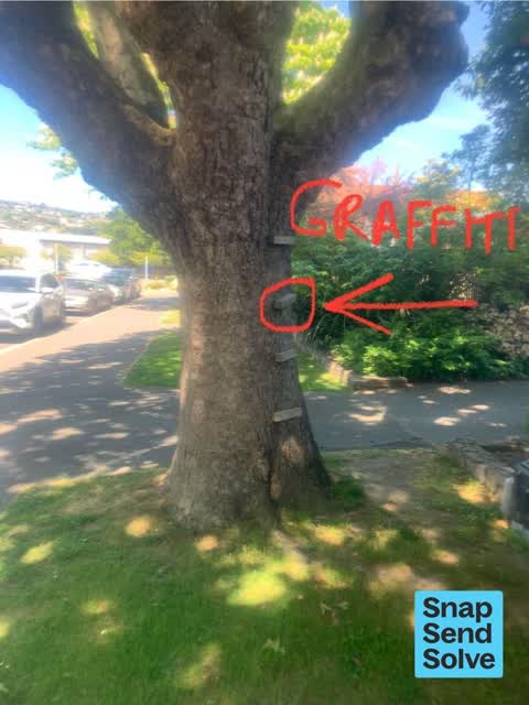 Graffiti somewhere else, a report photo
